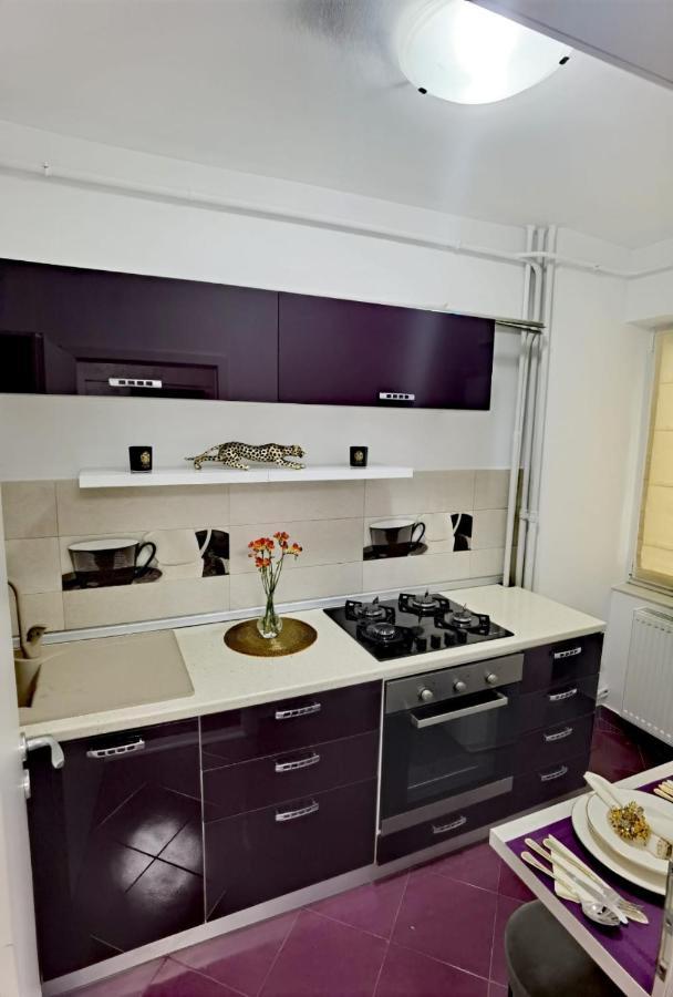 Central Apartament Iasi Bagian luar foto